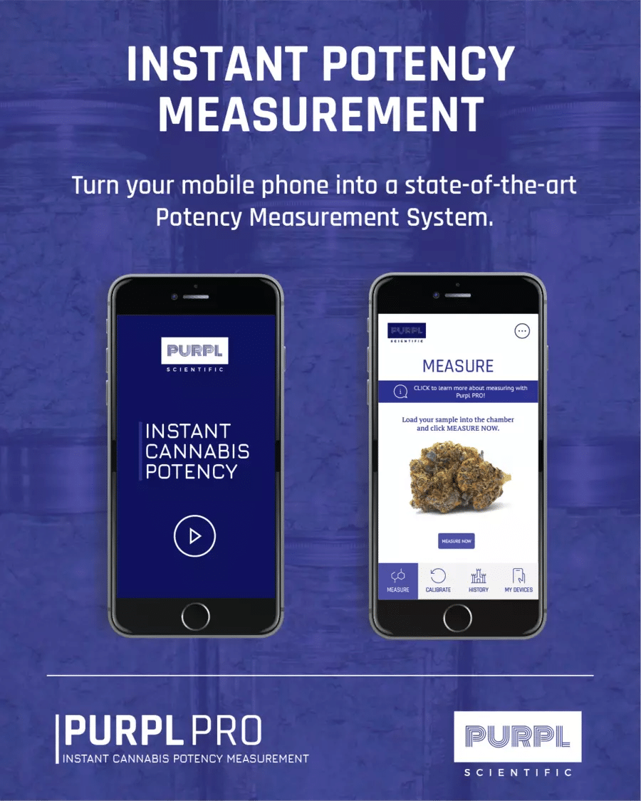 PurplPRO_Graphic-01_900x-1
