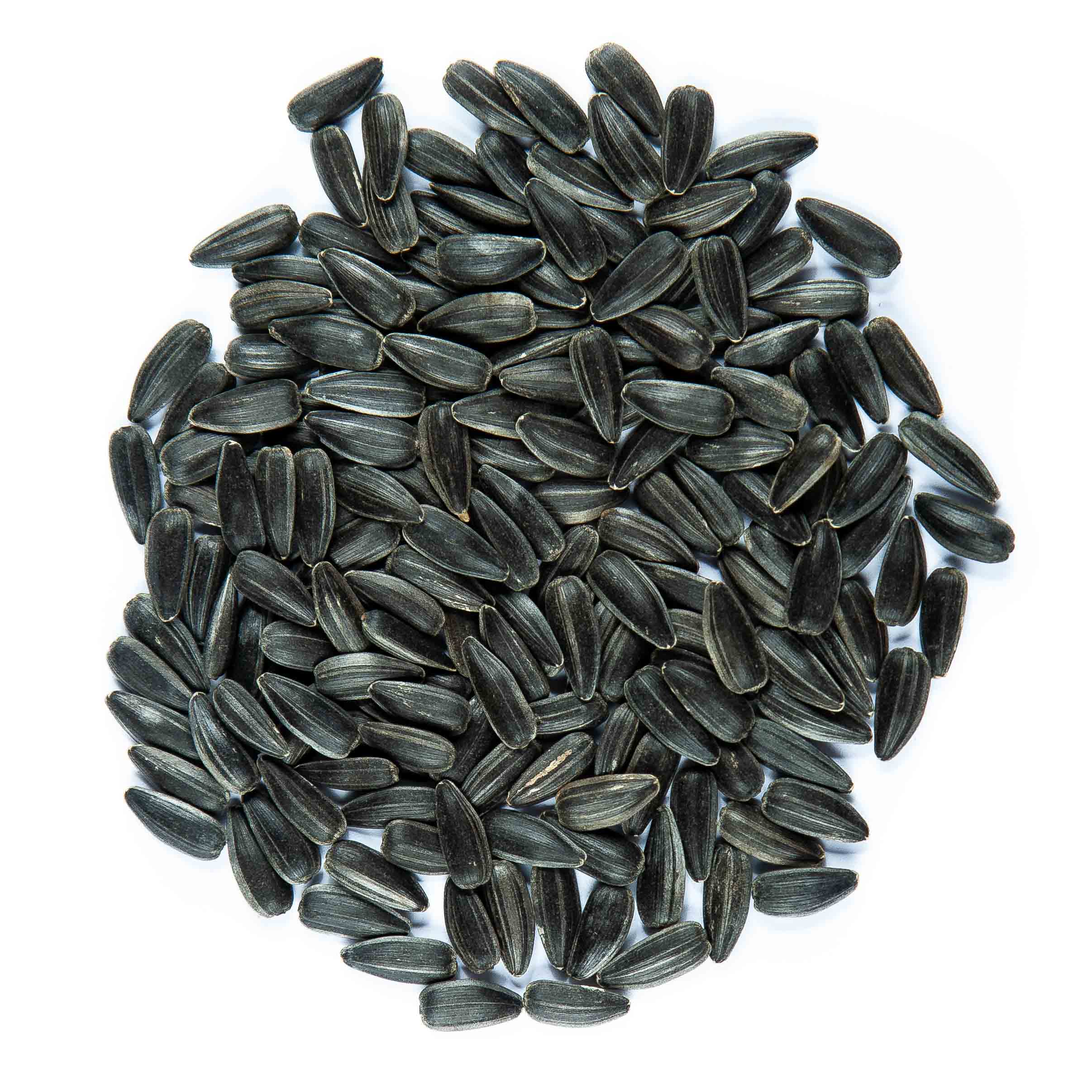 sunflower-seeds4